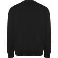 Batian Sweatshirt mit Rundhalsausschnitt Unisex, Durchgehend schwarz