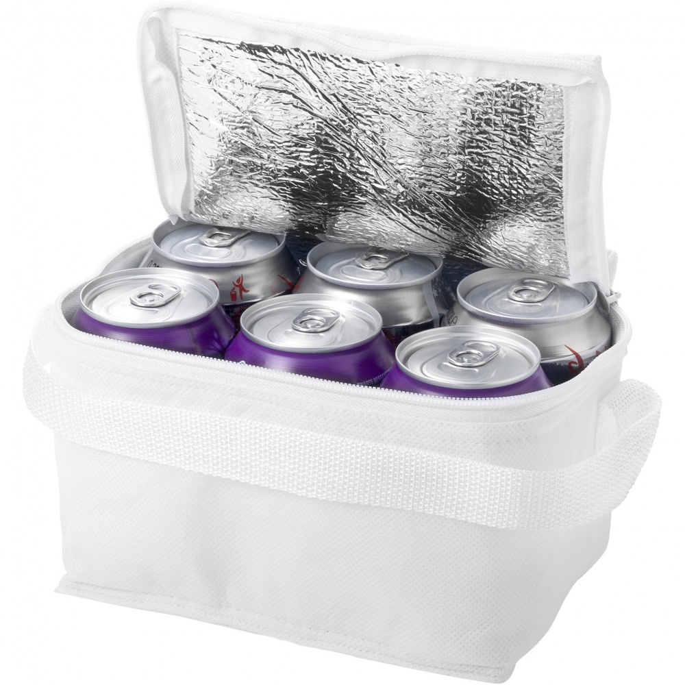 Logo trade promotional merchandise photo of: Spectrum 6-can cooler bag 4L