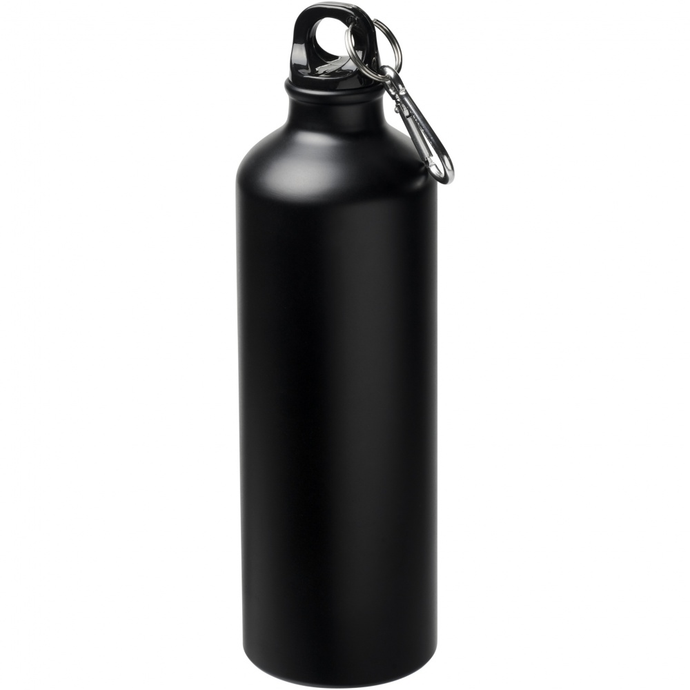 Logotrade promotional giveaways photo of: Oregon 770 ml matte water bottle with carabiner