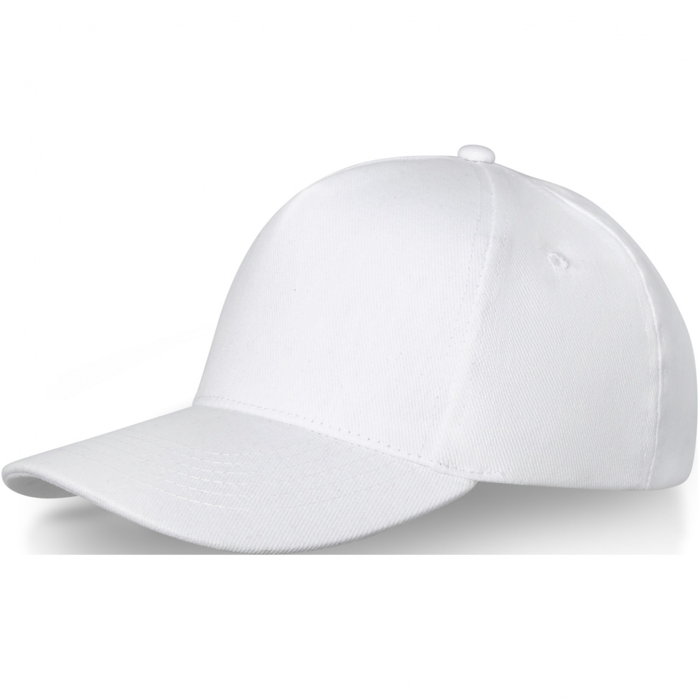 Logo trade advertising product photo of: Doyle 5 panel cap