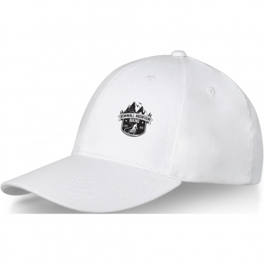 Logotrade promotional merchandise picture of: Davis 6 panel cap