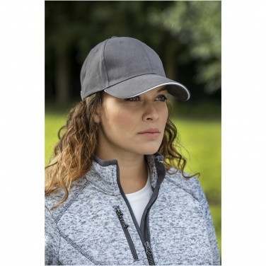 Logotrade promotional giveaway picture of: Darton 6 panel sandwich cap