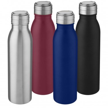 Logotrade advertising product picture of: Harper 700 ml stainless steel water bottle with metal loop