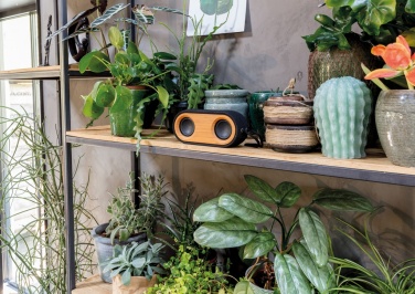 Logotrade promotional giveaways photo of: Bamboo X double speaker