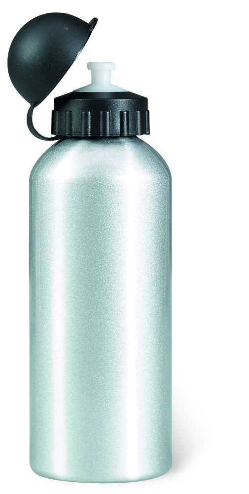 Logo trade business gifts image of: Single-walled 600 ml aluminum bottle