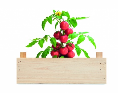 Logo trade promotional items picture of: Tomato kit in wooden crate