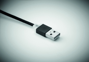Logo trade promotional gifts image of: key ring with USB type C cable Salaspils