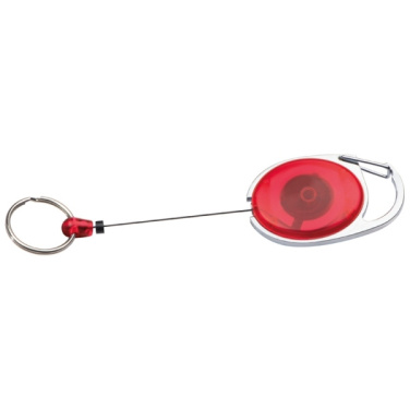 Logo trade promotional giveaway photo of: Ski-Pass with Carabiner Keyring EMPLOYEE