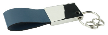 Logotrade promotional giveaway picture of: Keyring 909119