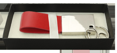 Logo trade promotional giveaways picture of: Keyring 909119