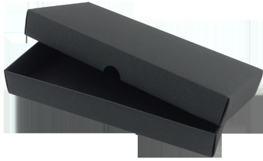 Logotrade promotional giveaway image of: Pen case 236019