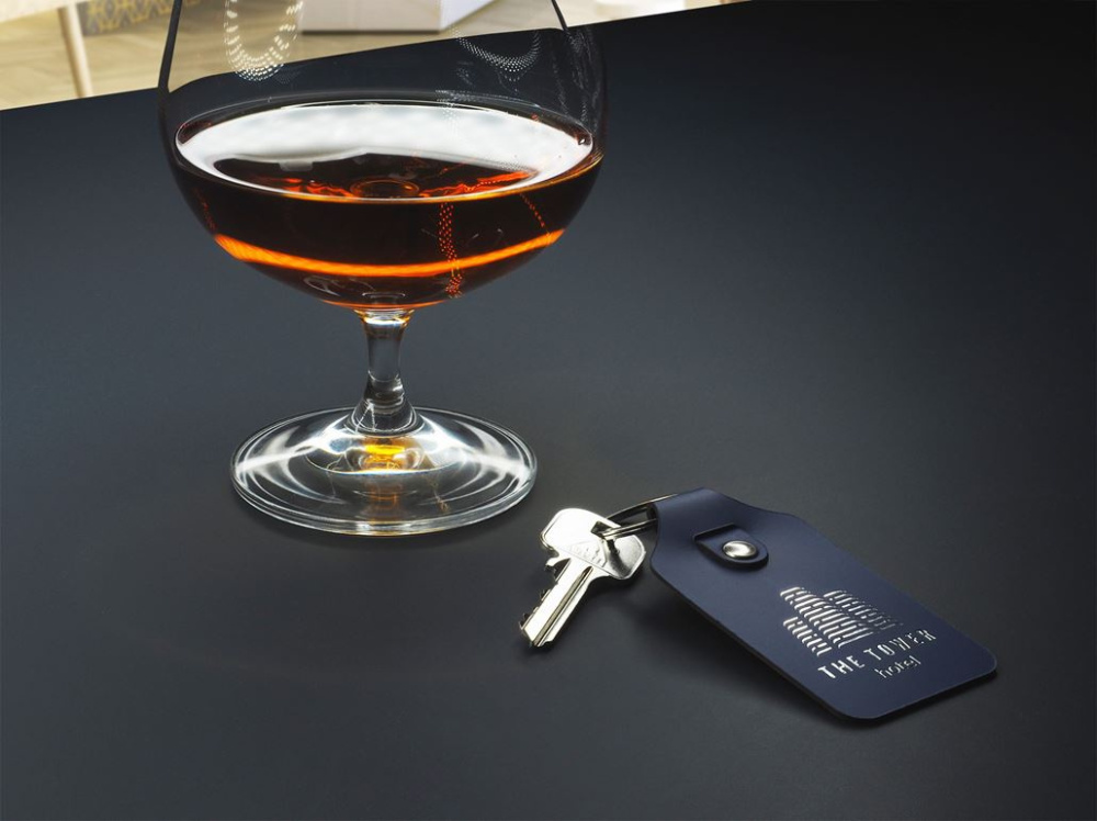 Logo trade corporate gifts picture of: Keyring 1200094