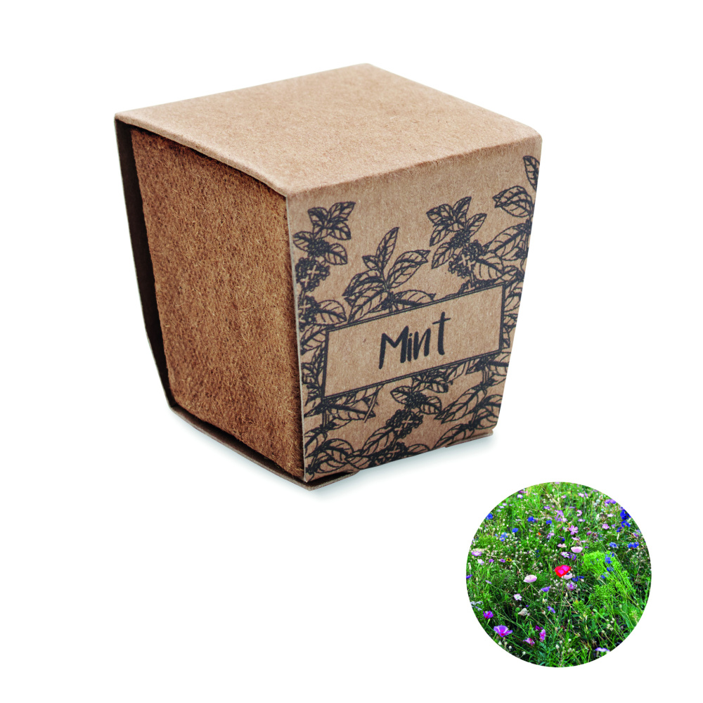 Logotrade promotional products photo of: Mint seeds growing kit