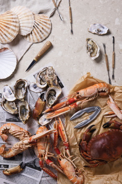 Logo trade advertising products picture of: VINGA Story of seafood