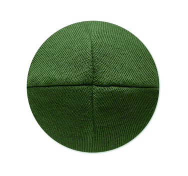 Logo trade corporate gifts picture of: Unisex beanie RPET polyester