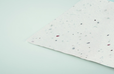 Logo trade advertising product photo of: Wildflower seed business card.