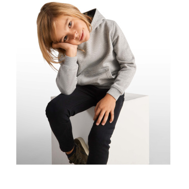 Logotrade promotional giveaway picture of: Urban kids hoodie