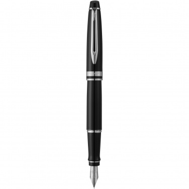 Logotrade firmakingitused pilt: Waterman Expert täitesulepea