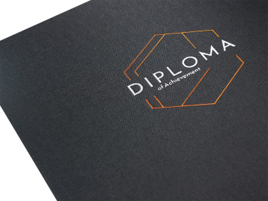 Logotrade ärikingituse foto: Diplomi kate 1700280