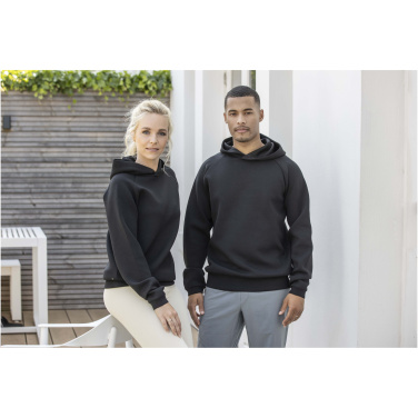 Logo trade mainoslahja kuva: Danali interlock-urheiluhuppari, unisex