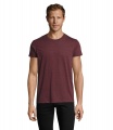 REGENT F MEN MARŠKINĖLIAI 150g, Heather Oxblood